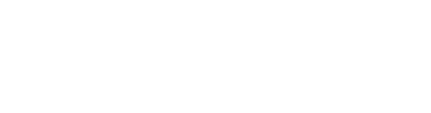 Divisn logo